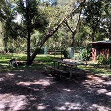 Shingle Creek Regional Park Dog Park photo 2